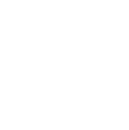 101 Club Logo